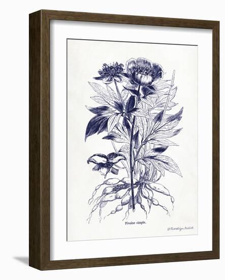 Indigo Botanical III-Gwendolyn Babbitt-Framed Art Print