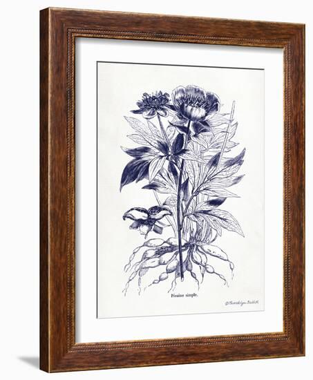 Indigo Botanical III-Gwendolyn Babbitt-Framed Art Print