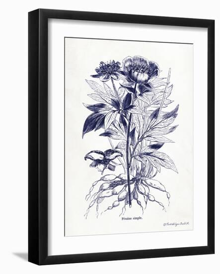 Indigo Botanical III-Gwendolyn Babbitt-Framed Art Print