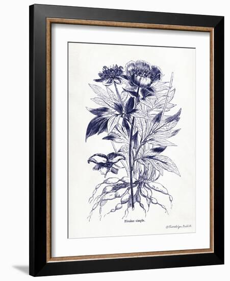 Indigo Botanical III-Gwendolyn Babbitt-Framed Art Print