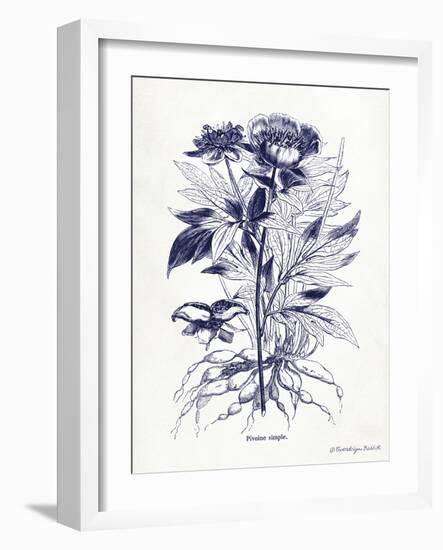 Indigo Botanical III-Gwendolyn Babbitt-Framed Art Print