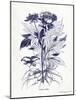 Indigo Botanical III-Gwendolyn Babbitt-Mounted Art Print