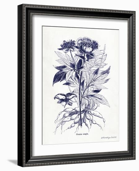 Indigo Botanical III-Gwendolyn Babbitt-Framed Art Print