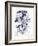 Indigo Botanical III-Gwendolyn Babbitt-Framed Art Print