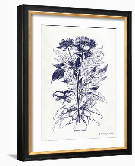 Indigo Botanical III-Gwendolyn Babbitt-Framed Art Print