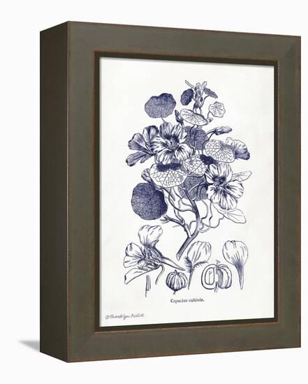 Indigo Botanical IV-Gwendolyn Babbitt-Framed Stretched Canvas