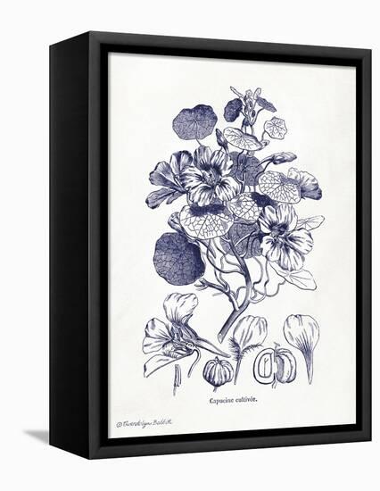 Indigo Botanical IV-Gwendolyn Babbitt-Framed Stretched Canvas