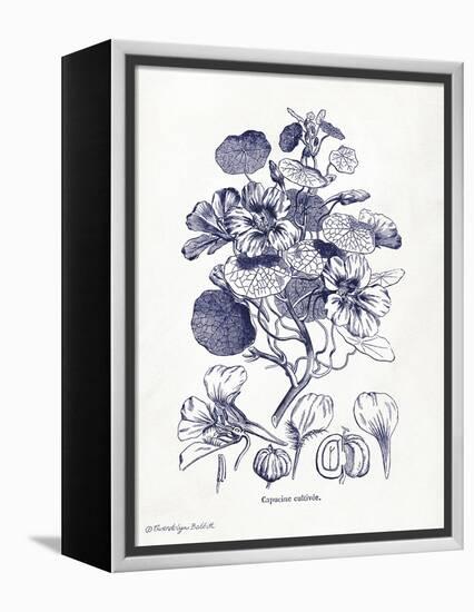 Indigo Botanical IV-Gwendolyn Babbitt-Framed Stretched Canvas