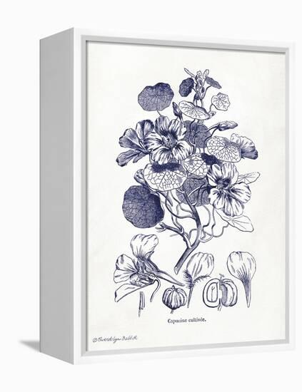 Indigo Botanical IV-Gwendolyn Babbitt-Framed Stretched Canvas