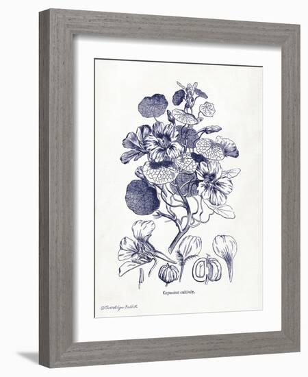 Indigo Botanical IV-Gwendolyn Babbitt-Framed Art Print