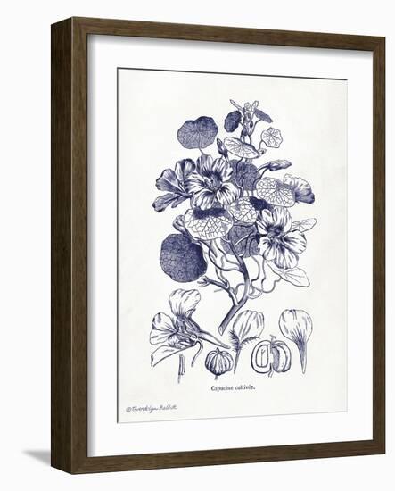 Indigo Botanical IV-Gwendolyn Babbitt-Framed Art Print