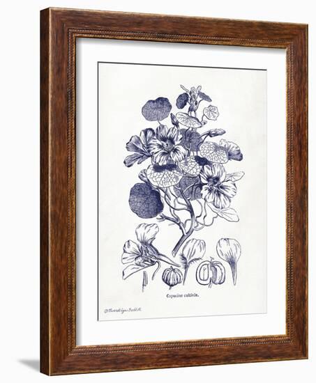 Indigo Botanical IV-Gwendolyn Babbitt-Framed Art Print