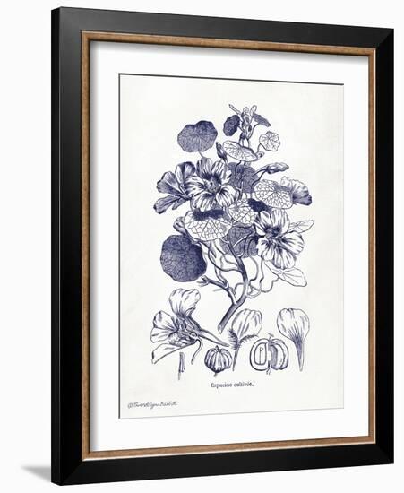 Indigo Botanical IV-Gwendolyn Babbitt-Framed Art Print