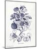 Indigo Botanical IV-Gwendolyn Babbitt-Mounted Art Print