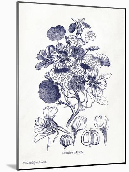 Indigo Botanical IV-Gwendolyn Babbitt-Mounted Art Print