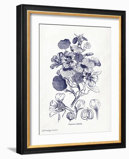 Indigo Botanical IV-Gwendolyn Babbitt-Framed Art Print