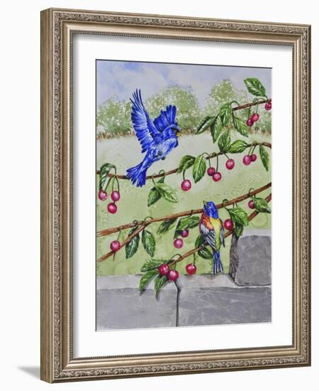 Indigo Bunting and Rainbow Bunting-Charlsie Kelly-Framed Giclee Print