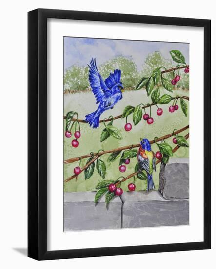 Indigo Bunting and Rainbow Bunting-Charlsie Kelly-Framed Giclee Print