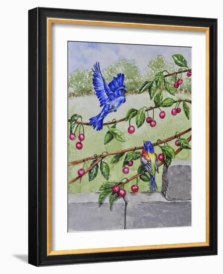 Indigo Bunting and Rainbow Bunting-Charlsie Kelly-Framed Giclee Print