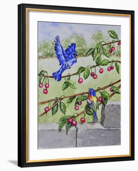 Indigo Bunting and Rainbow Bunting-Charlsie Kelly-Framed Giclee Print