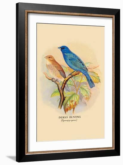 Indigo Bunting-Arthur G. Butler-Framed Art Print