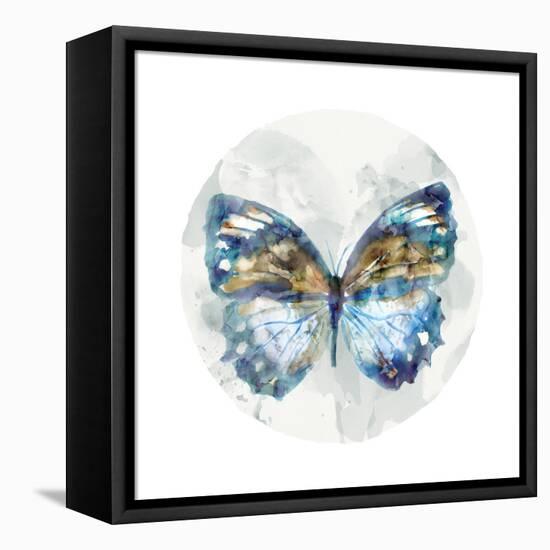 Indigo Butterfly I-Edward Selkirk-Framed Stretched Canvas