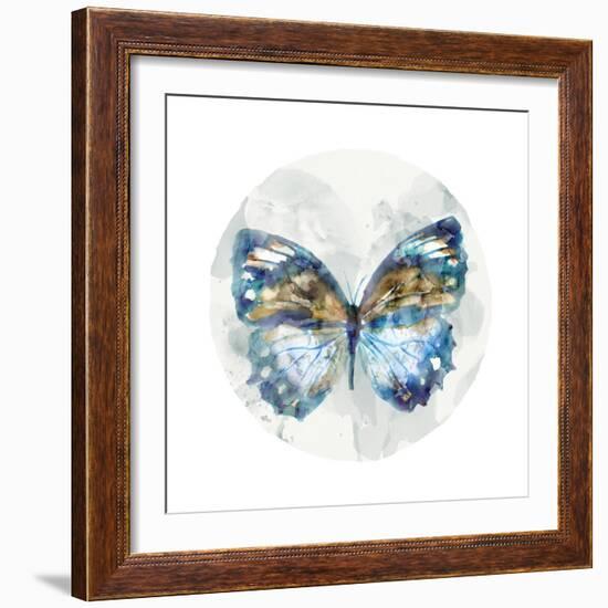 Indigo Butterfly I-Edward Selkirk-Framed Art Print