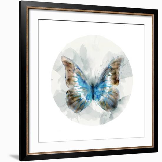 Indigo Butterfly II-Edward Selkirk-Framed Art Print