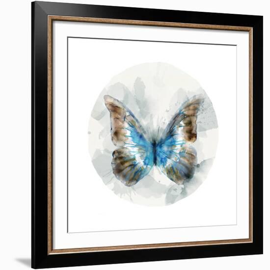 Indigo Butterfly II-Edward Selkirk-Framed Art Print