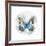 Indigo Butterfly II-Edward Selkirk-Framed Art Print