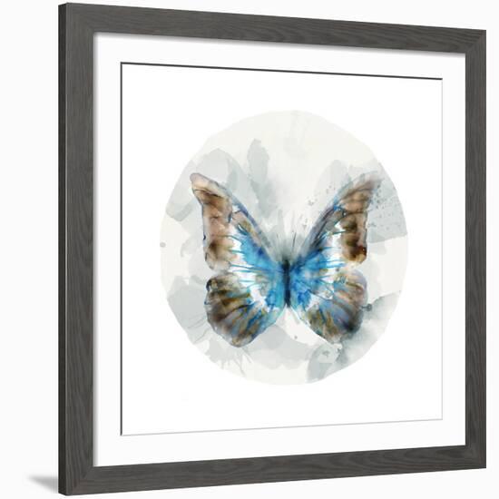 Indigo Butterfly II-Edward Selkirk-Framed Art Print