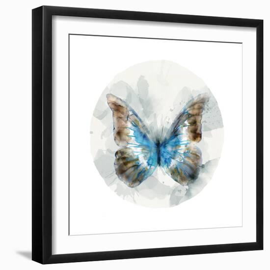 Indigo Butterfly II-Edward Selkirk-Framed Art Print