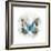 Indigo Butterfly II-Edward Selkirk-Framed Art Print