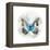 Indigo Butterfly II-Edward Selkirk-Framed Stretched Canvas