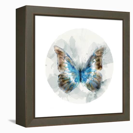 Indigo Butterfly II-Edward Selkirk-Framed Stretched Canvas