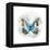 Indigo Butterfly II-Edward Selkirk-Framed Stretched Canvas