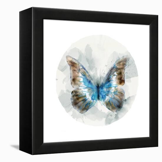 Indigo Butterfly II-Edward Selkirk-Framed Stretched Canvas