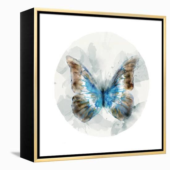 Indigo Butterfly II-Edward Selkirk-Framed Stretched Canvas