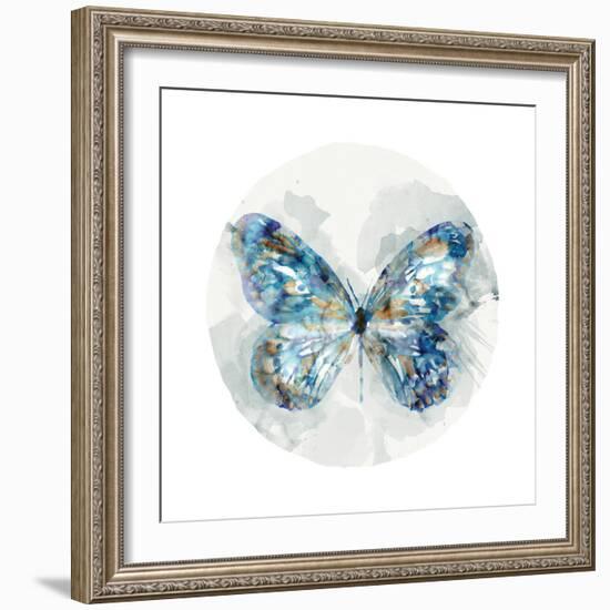 Indigo Butterfly III-Edward Selkirk-Framed Art Print