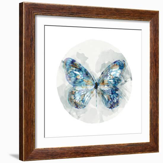 Indigo Butterfly III-Edward Selkirk-Framed Art Print