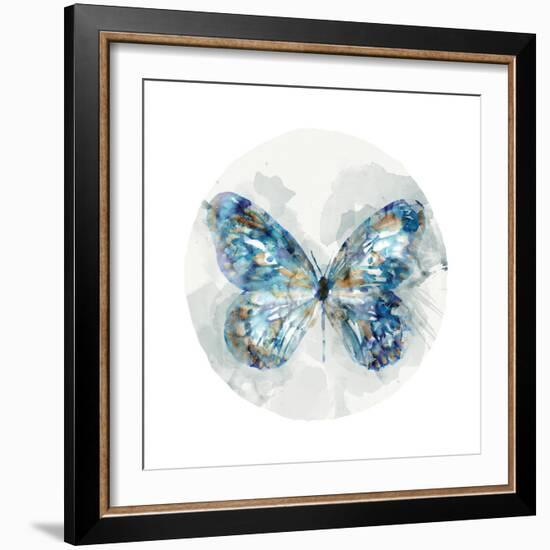 Indigo Butterfly III-Edward Selkirk-Framed Art Print