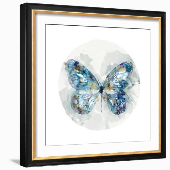 Indigo Butterfly III-Edward Selkirk-Framed Art Print