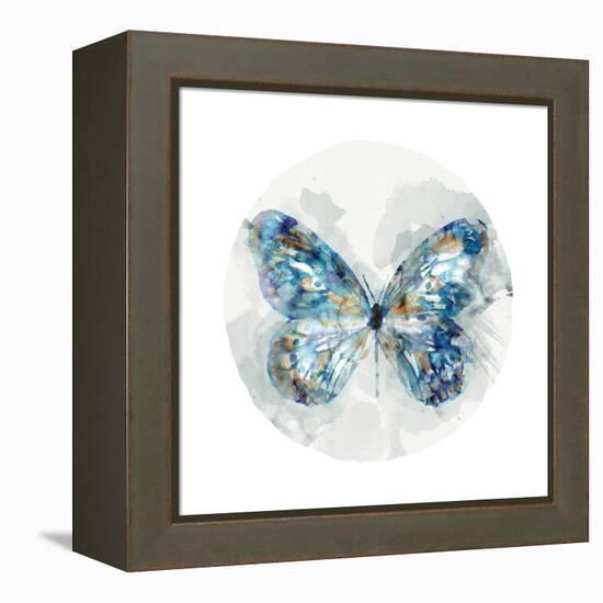 Indigo Butterfly III-Edward Selkirk-Framed Stretched Canvas