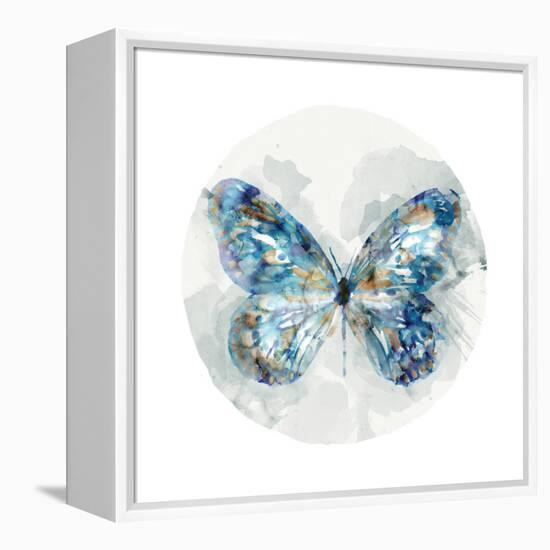 Indigo Butterfly III-Edward Selkirk-Framed Stretched Canvas
