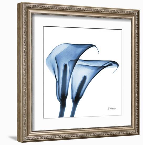 Indigo Calla Lilies C-Albert Koetsier-Framed Art Print