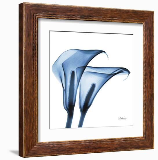 Indigo Calla Lilies C-Albert Koetsier-Framed Art Print