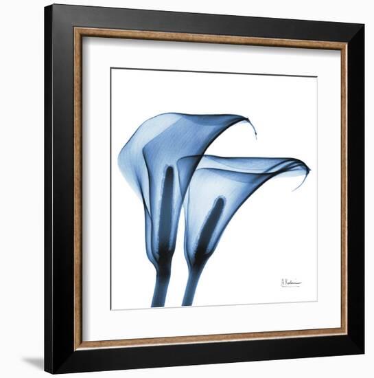 Indigo Calla Lilies C-Albert Koetsier-Framed Art Print