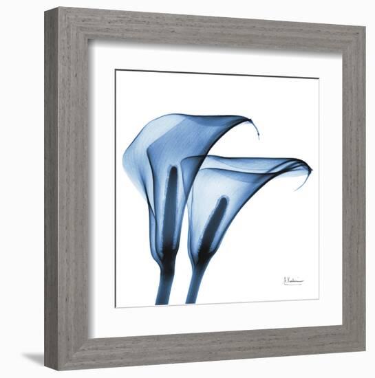 Indigo Calla Lilies C-Albert Koetsier-Framed Art Print