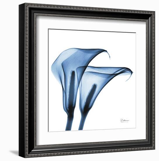 Indigo Calla Lilies C-Albert Koetsier-Framed Art Print