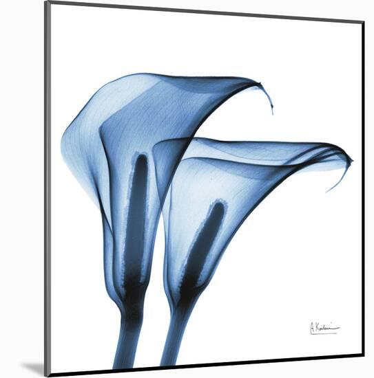 Indigo Calla Lilies C-Albert Koetsier-Mounted Art Print